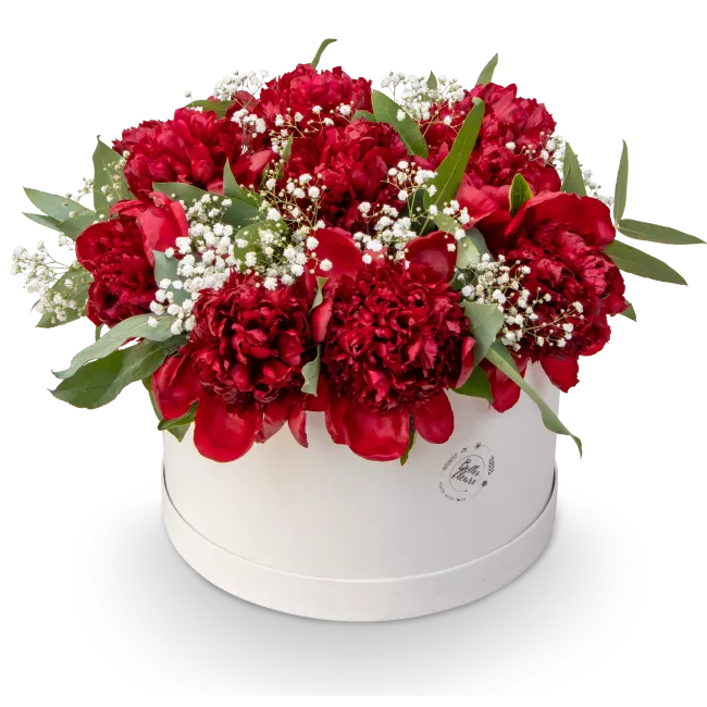 Box červených pivoněk